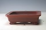 盆栽用鉢　銭号　朱泥雲足長方盆栽鉢