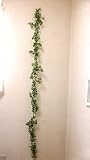 きつつき　ジャスミンガーランド1.8ｍ　人工観葉植物　フェイクグリーン