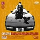 SMASH! SMASH! SMASH!-CHISATO LIVE AT BUDOKAN 1999-