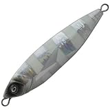 クレイジーオーシャン オーシャンフラッシュ 200g ＃5：ゼブラ