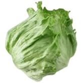 【朝市場直行】茨城県ほか レタス Lサイズ 1個 約300g【冷蔵】