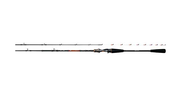 Amazon ダイワ Daiwa 船竿 リーディング V M 160mt V 釣り竿 ダイワ Daiwa 船竿