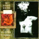 �A�Y�E�U�E�t�����[�E�E�B�U�[�Y