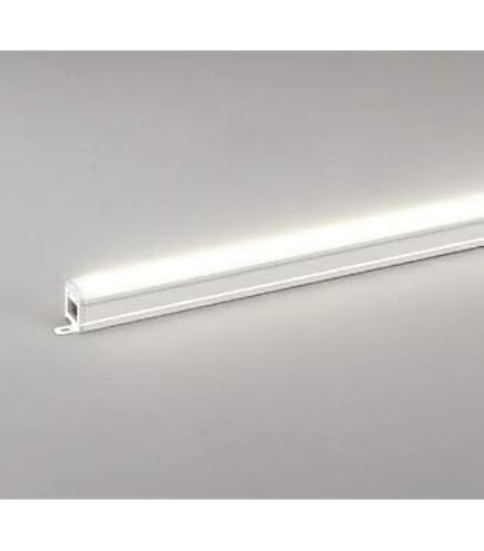 Amazon.co.jp: オーデリック 非常灯誘導灯 【OR037064】【OR 037 064