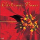 Christmas Flower�`poinsettia�`