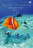 Marine Paradise Vol.11 �`�����f�B�u/�o���ҁ`