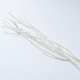 ディフューザー スティック 小枝 25cm twig ホワイト アロマスティック (ホワイト, 5本セット)