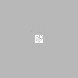 Delta Faucet RP42145SS Graves Product, Trim Ring for Tub and Shower, Stainless [並行輸入品]