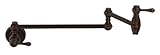 Danze d205057豊かさシングルハンドル壁マウントポットフィラー W 2 7/8" x D 22" x H 5 3/4" D205057BR 1