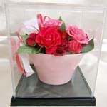 ハッピー ブーケ 赤い カーネーション アレンジ プリザーブドフラワー ディスプレイ用 ウィンナーケース 付