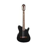 IBANEZ TOD10N-TKF Tim Henson Signature Model ナイロン弦 エレガットギター