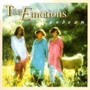 �T���r�[��