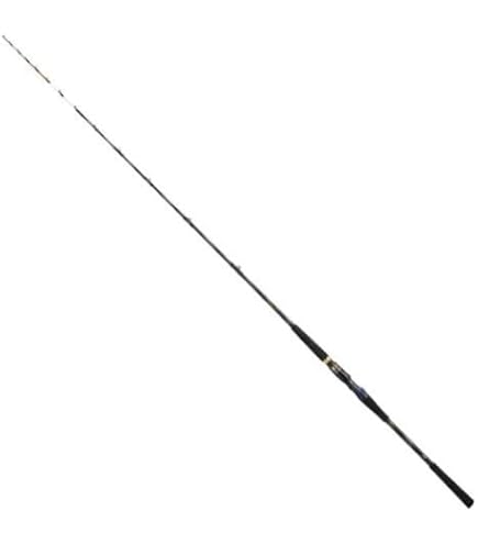 Amazon | ダイワ(DAIWA) 船竿 極鋭ヤリイカ EX 82-175 釣り竿 | Daiwa