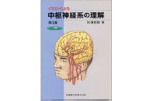 イラストによる中枢神経系の理解 健康 医学 Www Bloompsychologyservices Com