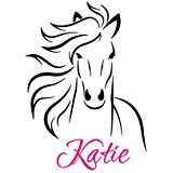 2016新しい馬壁decal-horse sticker-vinyl壁デカールアートパーソナライズ名前子供、女の子ルーム壁ステッカーホーム装飾