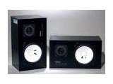 NS10M STUDIO(2本SET)