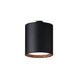 ART WORK STUDIO グリッドプラスダクトダウンライト Grid PLUS-duct down light AW-0611E (ライティングレール専用モデル) (BK/LW (ブラック+ライトウッド))