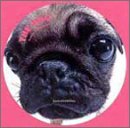 THE DOG �p�O