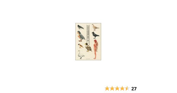 私家版鳥類図譜 Kcデラックス モーニング 諸星 大二郎 本 通販 Amazon