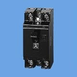 パナソニック電工 安全ブレーカHB型 2P2E 20A BS2022