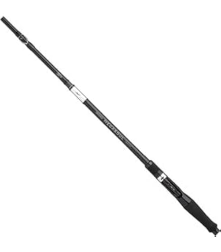 GRANDAGE MEGASOUL C73H+ シーバスロッド Amazon | アピア GRANDAGE MEGASOUL C73H+ 7.3フィート | アピア