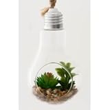 ガラス多肉植物 電球瓶 A 蓋付き 商品コード：56412 不二貿易
