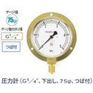タスコ 圧力計 G1／4インチ 下出し 75φ つば付 TA148-235