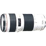 Canon 望遠ズームレンズ EF70-200mm F4.0L USM フルサイズ対応