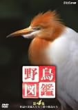 �쒹�}�� ��4�W