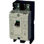 三菱電機 ノーヒューズ遮断器 NF-Cシリーズ(経済品) NF30-CS2P30AWW (438-5896)