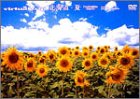 virtual trip �k�C���E��(�g�[���T�C�Y���j���[�A��)
