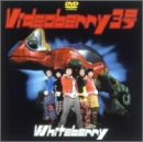 Videoberry 3��