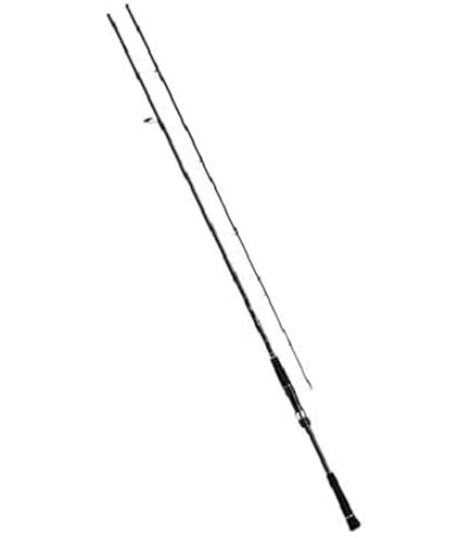 Amazon | ダイワ(DAIWA) シーバスロッド スピニング ラテオ 106ML・Q
