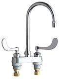 Chicago Faucets 895-317GN2AE36ABCP Kitchen Sink Bar Faucet by Chicago