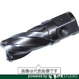 大見工業 25SQハイスカッター 14.0mm【HCSQ140】(2483165)