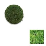オンリーワン　植栽　コケ・丘マリモ（山苔）　サイズ130ｍｍ　HE3-K410