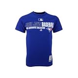 Toronto Blue JaysマジェスティックブルーAC Team Favorite Tシャツ L