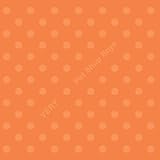 ヴェリー (特典なし)