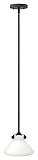 Hinkley Lighting 3130OZ-LED Congress Pendant Light [並行輸入品]