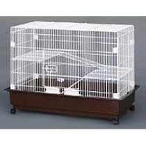 Amazon | GB 3200-F フェレット W ホワイト | ジービー | 飼育