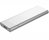 LOLUCE（ミナラ） 超高速外付けSSD、ポータブルモバイルソリッドステートドライブ、コンピューター、携帯電話に最適 (Silver,1TB)