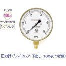 タスコ 圧力計 1／4インチフレア 下出し 100φ つば無 TA147F-335