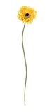 Select Artificials Artificial Poppy Flower Decorative Floral Crafting Stem 34 Yellow [並行輸入品]