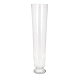 IMAX 85847 Maxine Glass Vase, Large [並行輸入品]