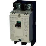 三菱電機 ノーヒューズ遮断器 NF-Cシリーズ(経済品) NF30-CS2P10AWW (438-5861)