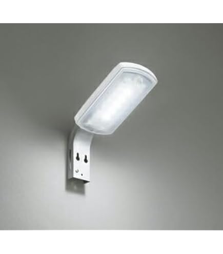 Amazon | パナソニック(Panasonic) 街路灯 LED 水銀灯250形相当 昼白