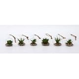 ガラス多肉植物 6種アソート 商品コード：29865 不二貿易