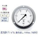 タスコ 圧力計 3／8インチG 後ろ出し 100φ つば付 TA149B-150