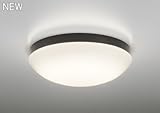 オーデリック 屋外用LED共用灯 廊下灯 電球色 シンプル おしゃれ リフォーム リノベーション
