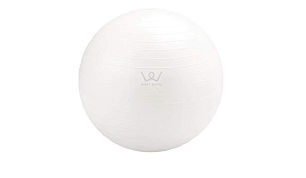 Amazon アルインコ エクササイズボール 30cm 55cm 65cm 75cm Wbn030 Wbn055 Wbn065 Wbn075 アルインコ Alinco バランスボール